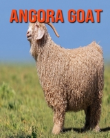 Angora Goat: Children Book of Fun Facts & Amazing Photos B08KH3S1KD Book Cover