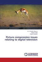 Picture compression issues relating to digital television 3659636576 Book Cover