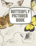 Learning About Butterflies: Illustrations of Butterflies & Moths B0BMSRJYLL Book Cover