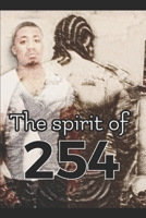 The Spirit of 254: A true story 1661490808 Book Cover