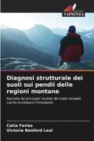 Diagnosi strutturale dei suoli sui pendii delle regioni montane: Raccolta dei principali risultati del tratto stradale Carmo-Sumidouro-Teresópolis 6205920808 Book Cover