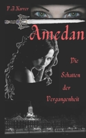 Amedan: Die Schatten der Vergangenheit B0BRGXLKC4 Book Cover