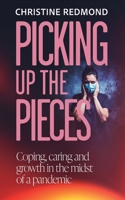 Picking up the Pieces 186151851X Book Cover