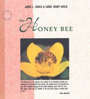 The Honey Bee 0716750236 Book Cover