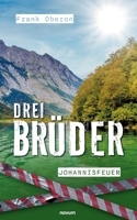 Drei Brüder - Johannisfeuer (German Edition) 3711600042 Book Cover