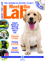 Meet the Lab (AKC Meet the Breed Series) 1620080893 Book Cover