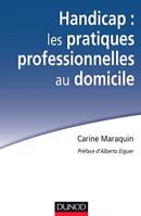 Handicap : les pratiques professionnelles au domicile 2100721364 Book Cover