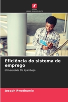Eficiência do sistema de emprego 6205827425 Book Cover