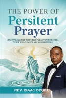 THE POWER OF PERSISTENT PRAYER: Provoking The Power Of Persistent Prayer, Your Weapon for All Possibilities B0FWKFVRRP Book Cover