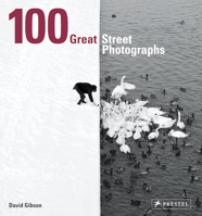 100 Great Street Photographs 3791384384 Book Cover