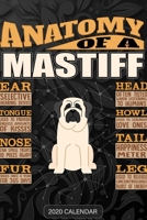 Anatomy Of A Mastiff: Mastiff 2020 Calendar - Customized Gift For Mastiff Dog Owner 1679712594 Book Cover