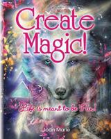 Create Magic!: Life Is Meant to Be Fun! 0960080112 Book Cover