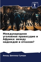 Международное уголовное правосудие и Африка: между надеждой и отказом? 6206067343 Book Cover