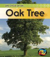 Life Cycle of an Oak Tree (Life Cycle of a ...) 1432925318 Book Cover