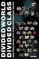 Divided World Divided Class: Global Political Economy and the Stratification of Labour Under Capitalism 1894946685 Book Cover