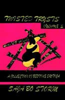 Twisted Trysts, Vol. 1: A Collection of Bedtime Erotica 1413459250 Book Cover