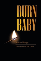 BURN BABY: The second Lincoln Polk thriller 1543758584 Book Cover