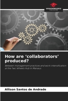 How are ‘collaborators’ produced?: Between management practices and work intensification at the Two Wheels Hub in Manaus 620764350X Book Cover