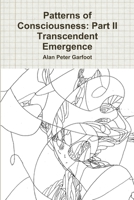 Patterns of Consciousness: Part II Transcendent Emergence 1291346368 Book Cover