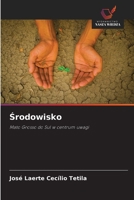 Srodowisko (Polish Edition) 6208407753 Book Cover