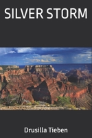 Silver Storm 1540732312 Book Cover