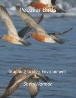 Peculiar Birds: Graphing Grids - Environment 1706555571 Book Cover