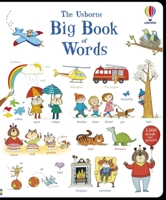 BIG BOOK OF WORDS 1805317393 Book Cover
