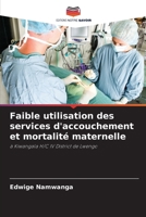 Faible utilisation des services d'accouchement et mortalité maternelle (French Edition) 6208104602 Book Cover