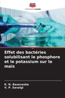 Effet des bactéries solubilisant le phosphore et le potassium sur le maïs (French Edition) 6209874673 Book Cover