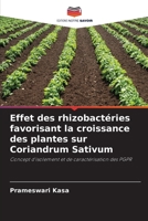 Effet des rhizobactéries favorisant la croissance des plantes sur Coriandrum Sativum 6206853195 Book Cover