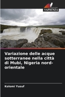 Variazione delle acque sotterranee nella città di Mubi, Nigeria nord-orientale 6205719185 Book Cover