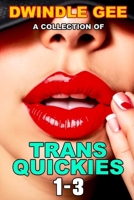 A COLLECTION OF TRANS QUICKIES 1-3: The Virgin Crossdresser at the Crossroads Motel / Transsexual on a Train / Crossdresser Caught by Roommate B093R5TFWP Book Cover