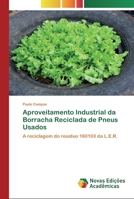 Aproveitamento Industrial da Borracha Reciclada de Pneus Usados 6200803056 Book Cover