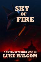 Sky of Fire: A Novel of World War III B0GJLHRNZV Book Cover