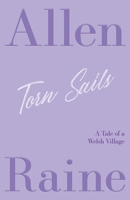 Torn Sails 9357958177 Book Cover