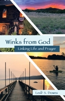 Winks from God: Linking Life and Prayer 1664240756 Book Cover