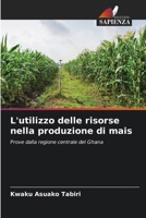 L'utilizzo delle risorse nella produzione di mais (Italian Edition) 620791290X Book Cover