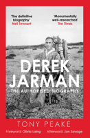 Derek Jarman: The Authorised Biography 0749032901 Book Cover