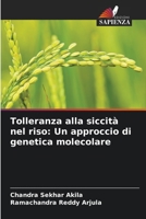 Tolleranza alla siccità nel riso: Un approccio di genetica molecolare (Italian Edition) 6208390699 Book Cover