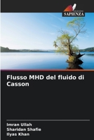 Flusso MHD del fluido di Casson (Italian Edition) 6208859956 Book Cover