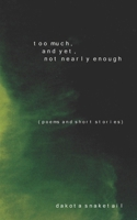 Too Much, and Yet, Not Nearly Enough B098WDB6Z1 Book Cover