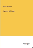 A Visit to Salt Lake 3382332140 Book Cover