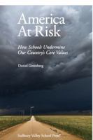 America At Risk: How Schools Undermine Our Country’s Core Values 1888947322 Book Cover