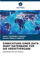 Einrichtung Einer Data Mart Datenbank Für Die Kreditvergabe (German Edition) 6206331458 Book Cover