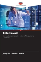 Télétravail (French Edition) 6207002512 Book Cover
