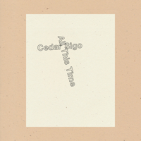 All This Time 1950268462 Book Cover