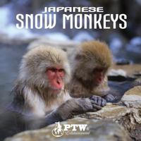 Japanese Snow Monkeys 1535083654 Book Cover