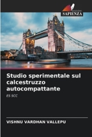 Studio sperimentale sul calcestruzzo autocompattante: ES SCC (Italian Edition) 6207668650 Book Cover