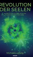 Revolution der Seelen - Aufbruch ins goldene Zeitalter durch die Kraft der Liebe (German Edition) 3991850990 Book Cover