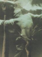 Compound Fracture 094409242X Book Cover